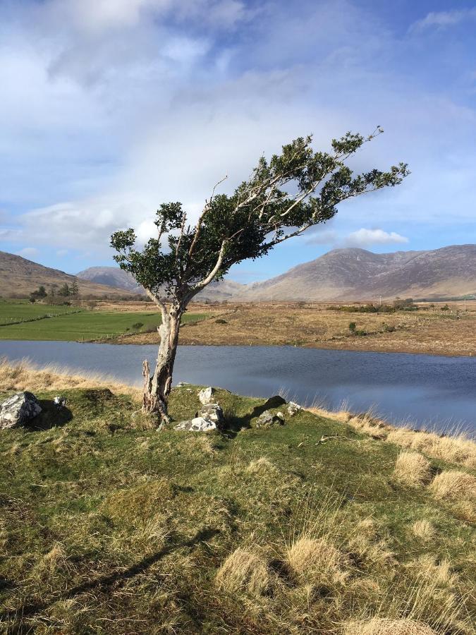 Recess Railway View - Connemara Bed & Breakfast エクステリア 写真